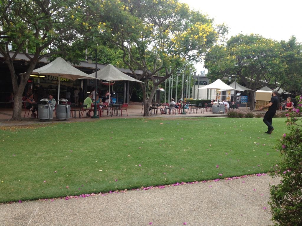 A view of the grass at South Bank, Brisbane