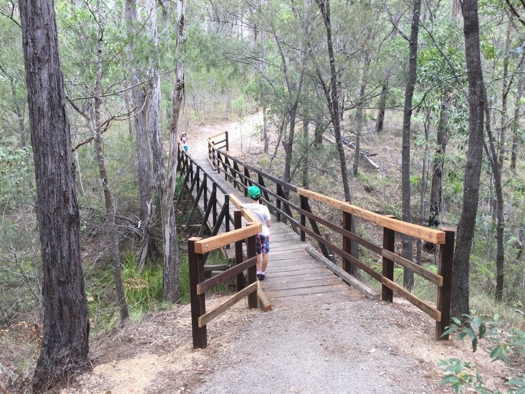 karawatha forest walking tracks