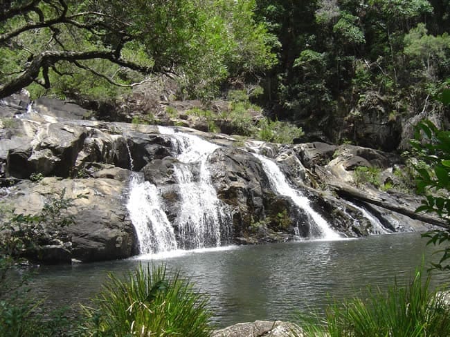 Conondale National Park - Booloumba Creek, Queensland