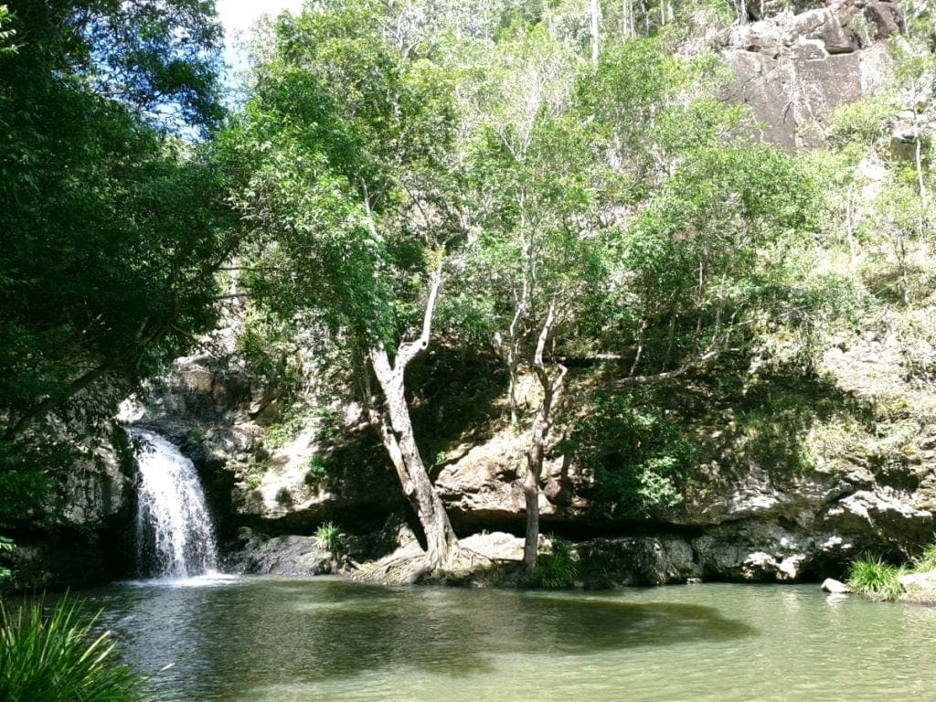 swim-kondalilla-falls
