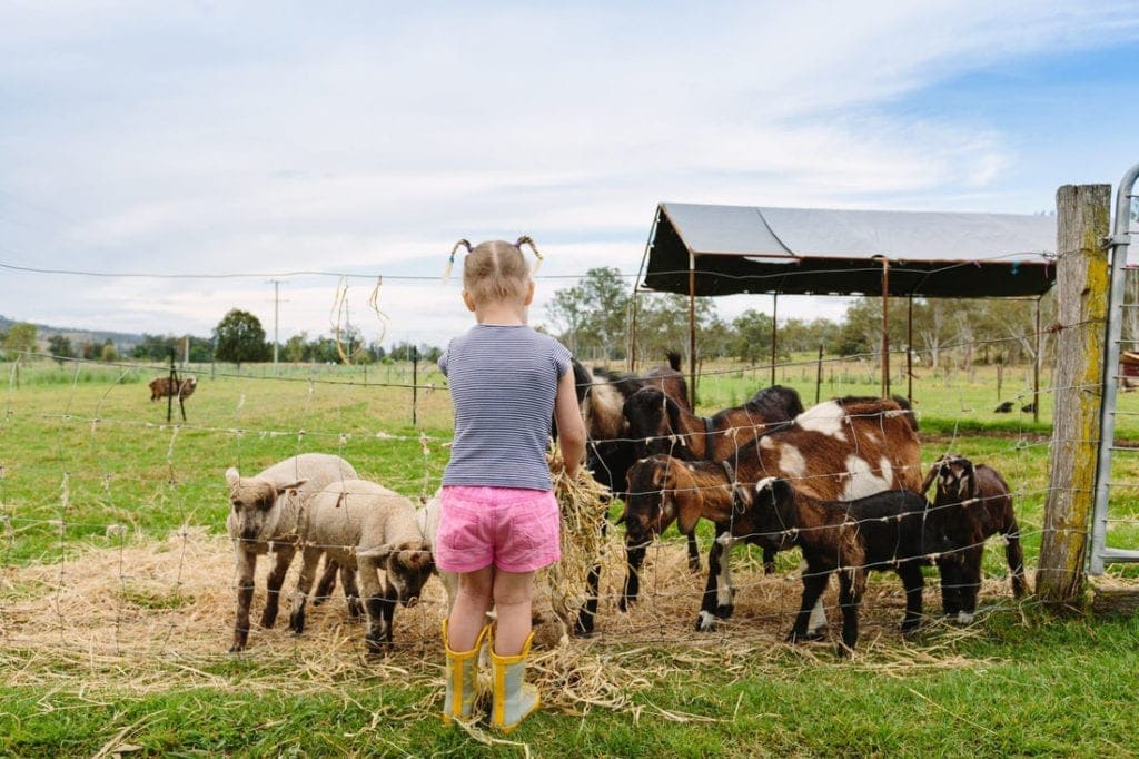 farm stays near Brisbane