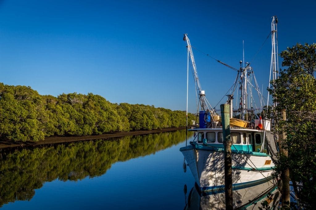 seafood trawlers north brisbane