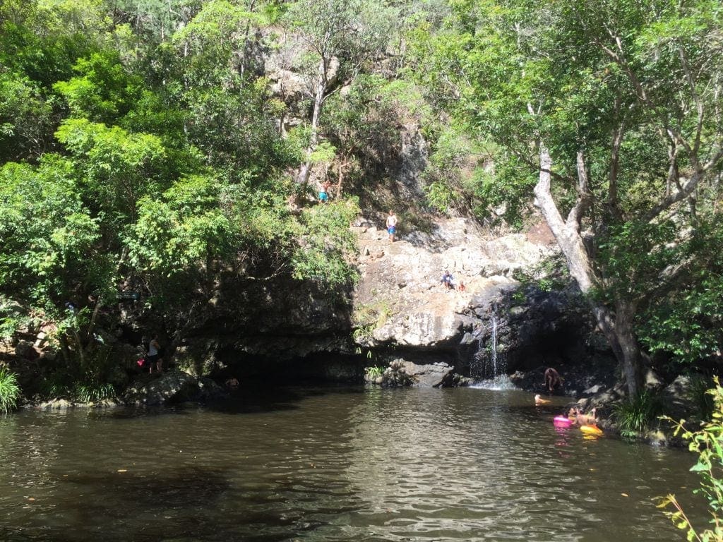 Kondalilla Swimming holes near Brisbane Day Trip from Brisbane