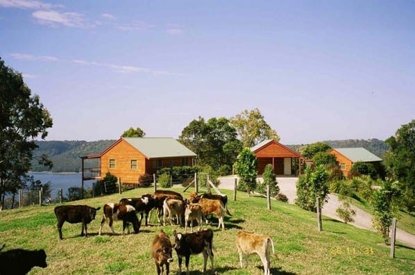 Hotels New Farm Brisbane Hotels New Farm Brisbane