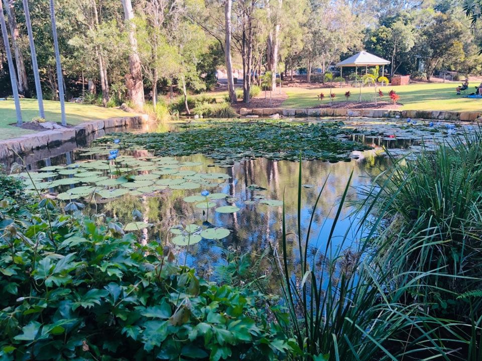Kholo Botanical Gardens featured image