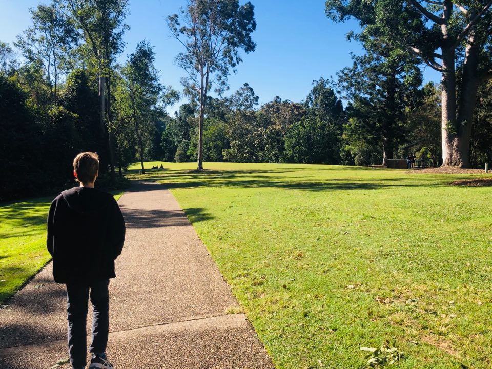 Coal Creek bush walk at Kholo gardens