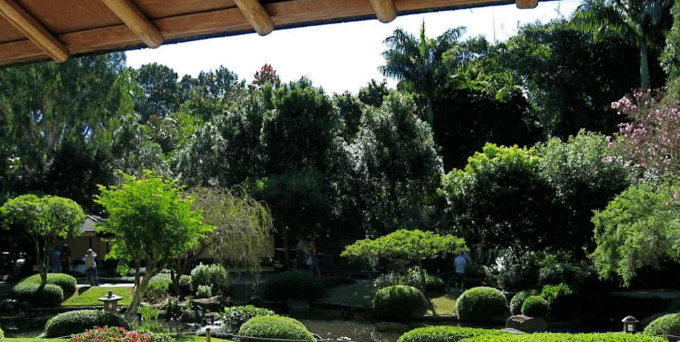 open Christmas Day brisbane botanic gardens