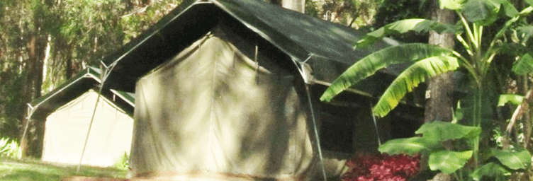 tamborinee mountain camping tent among the trees