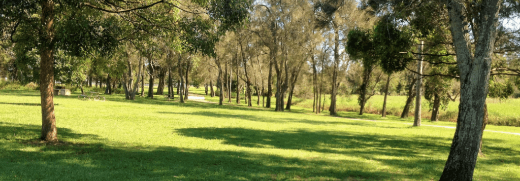 Carindale Minnippi Parklands