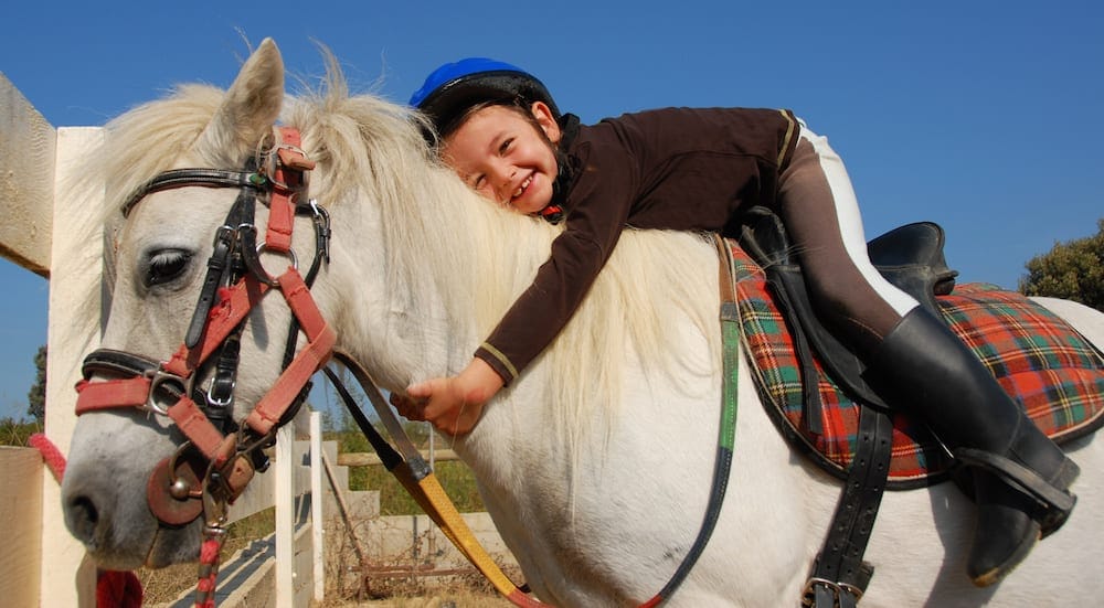 Horse riding gold coast