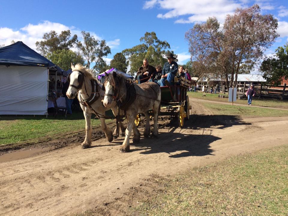 things to do toowoomba