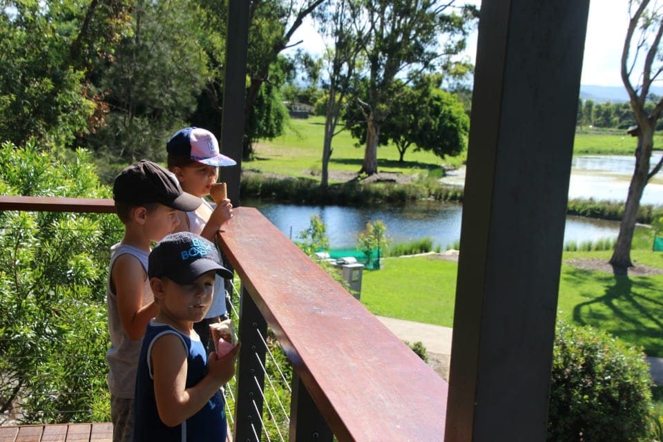 Hidden Gem of the Gold Coast for Kids – Gold Coast Regional Botanical Gardens