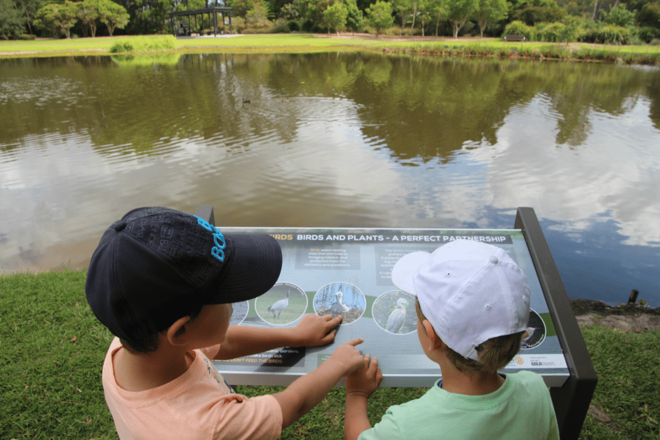 Hidden Gem of the Gold Coast for Kids – Gold Coast Regional Botanical Gardens