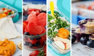 Lunch box Inspiration recipe ideas and food photos of dips, salad and fruit
