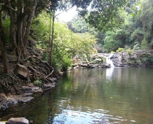 gardners falls on the Sunshine Coast