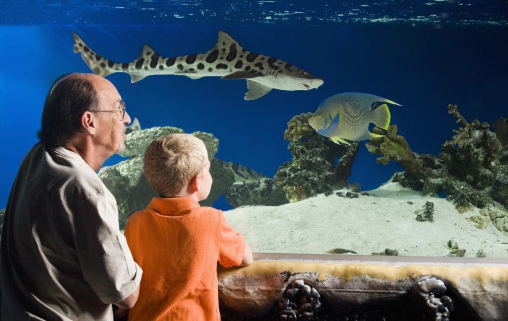 places to take kids who love sea creatures