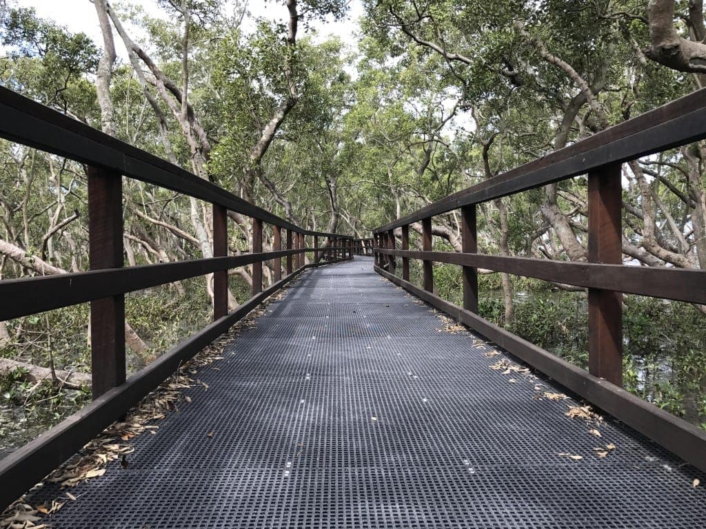 Wynnum Mangrove Boardwalk