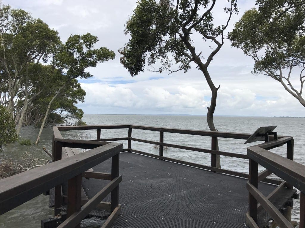 Wynnum Mangrove Boardwalk