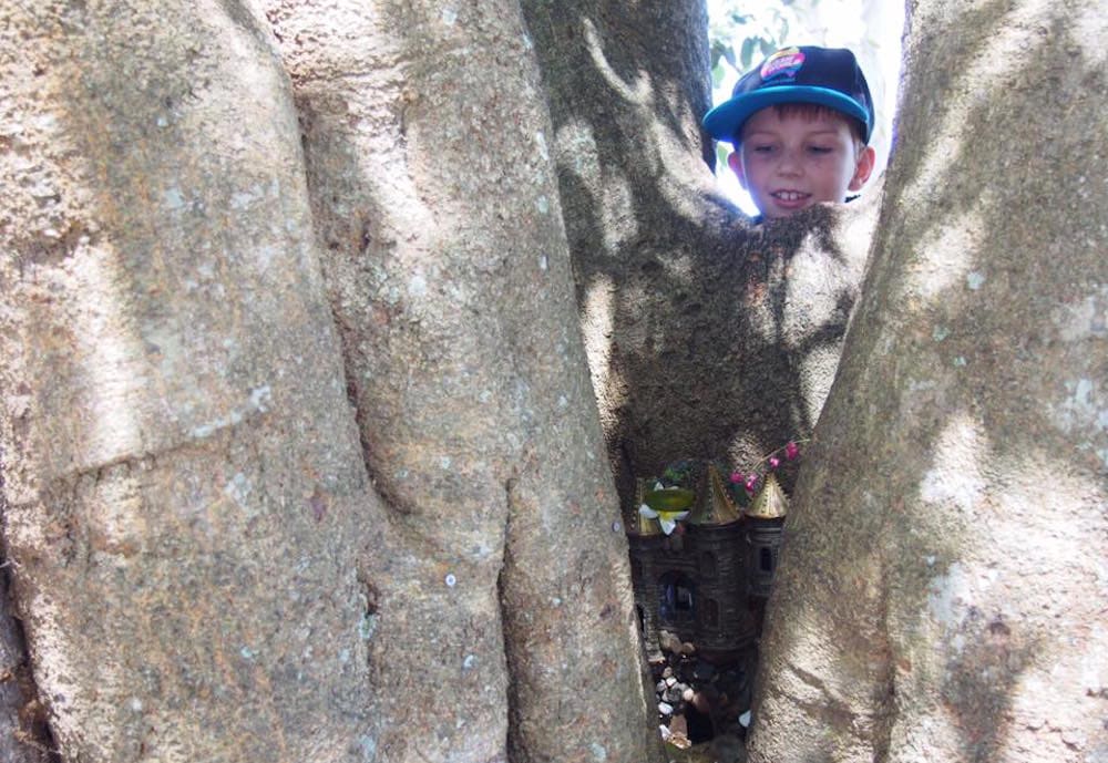 Little boy peering into tree to find fairy house
