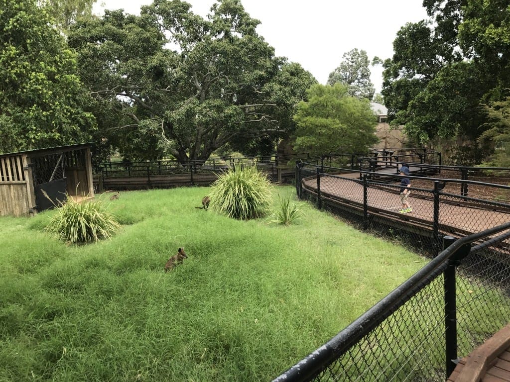 Ipswich Nature Centre - Ipswich Zoo