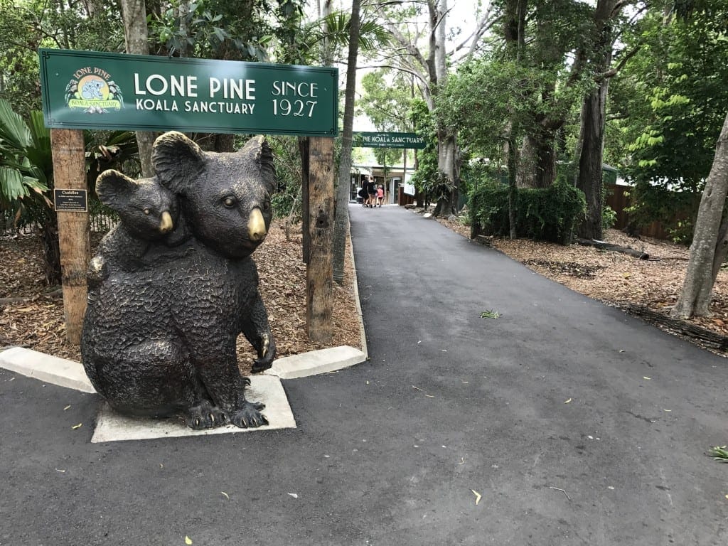 Lone Pine Koala Sanctuary