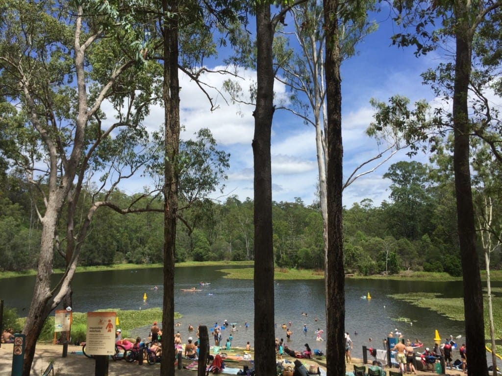 Enoggera Reservoir Swimming hole