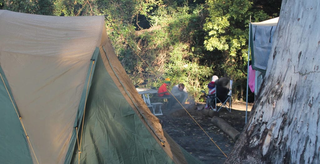 Binna Burra Lodge campsite