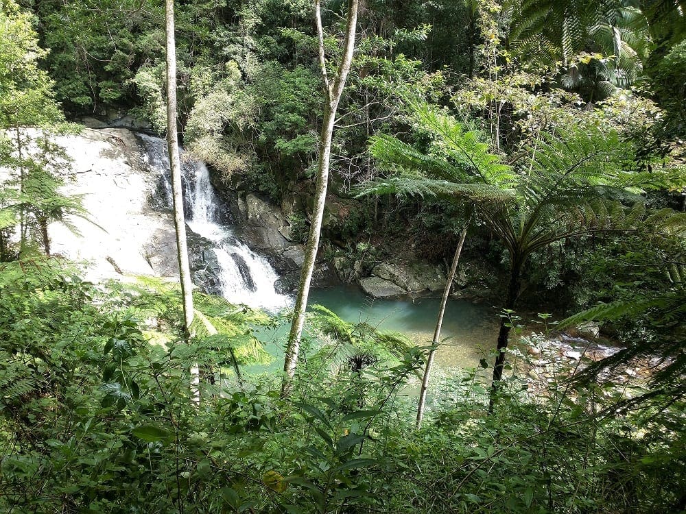 Incredible rainforest waterhole at Cougal Cascades