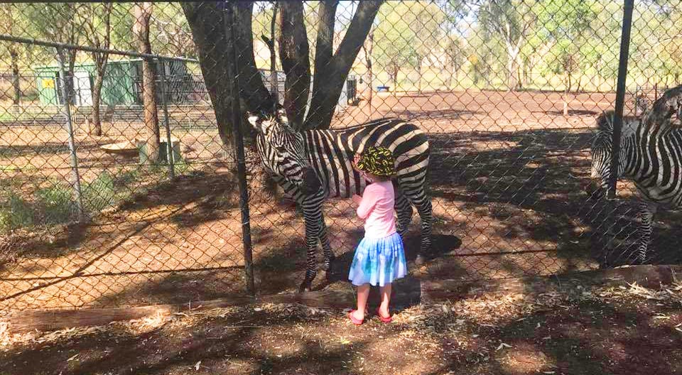 Darling Downs Zoo child and zebra