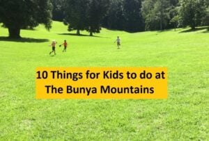 Things to do at the Bunya Mountains