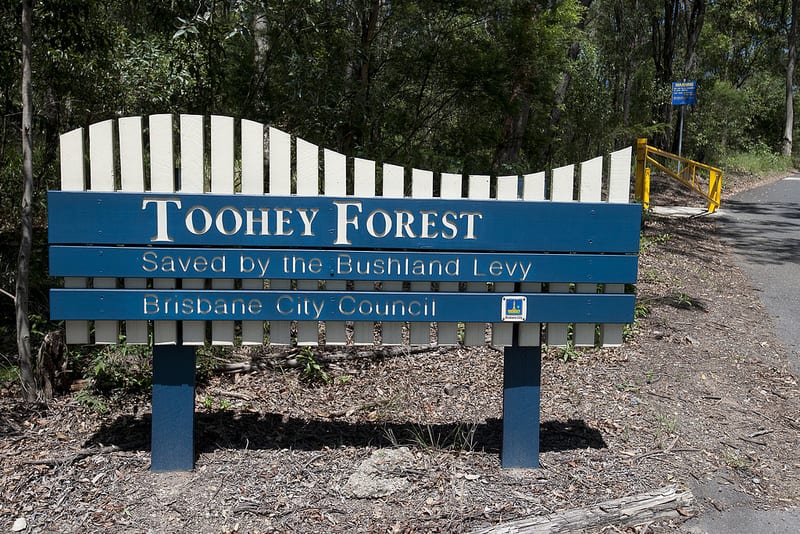 Toohey Forest Park