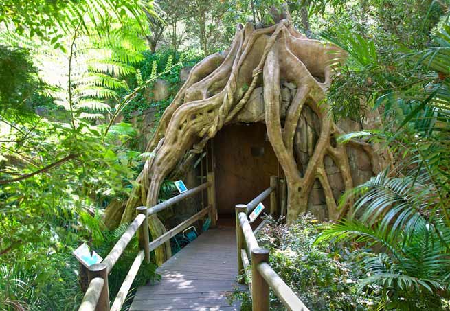 Mt Tamborine glow-worm-caves-entrance