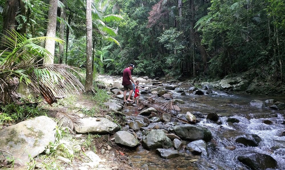 Brisbane walking trails