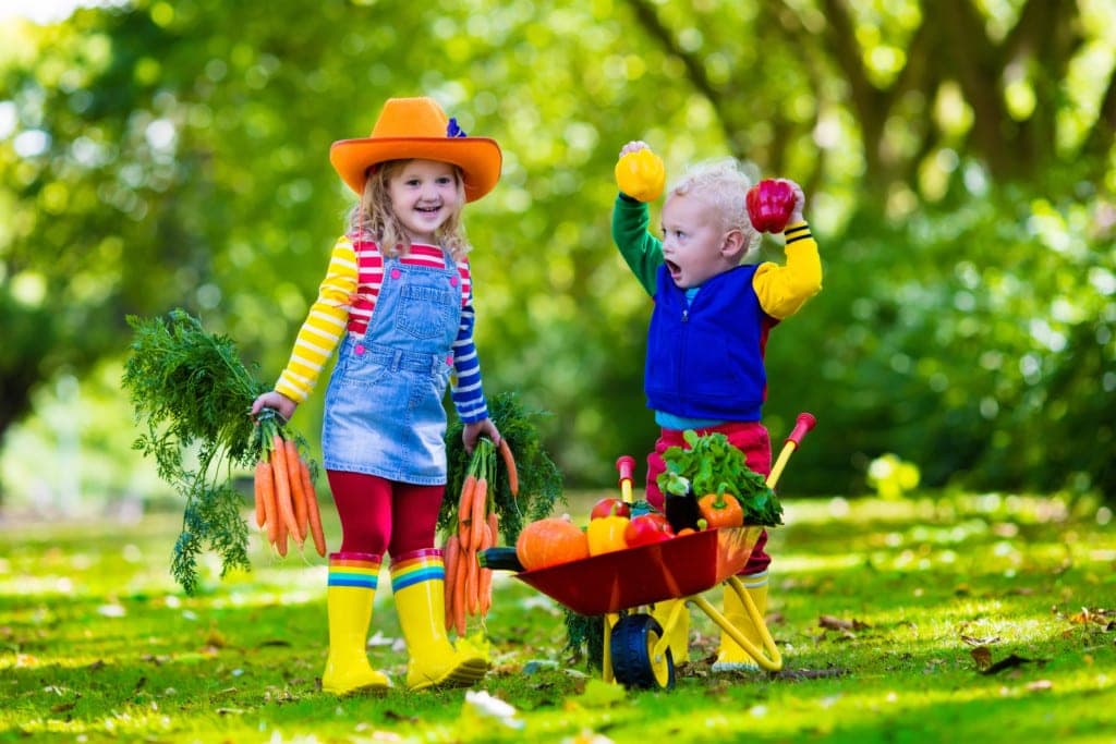 Gardening with children - two toddlers on a farm