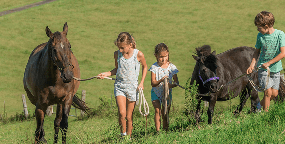 Little girls leading ponies Farmstay Byron Bay