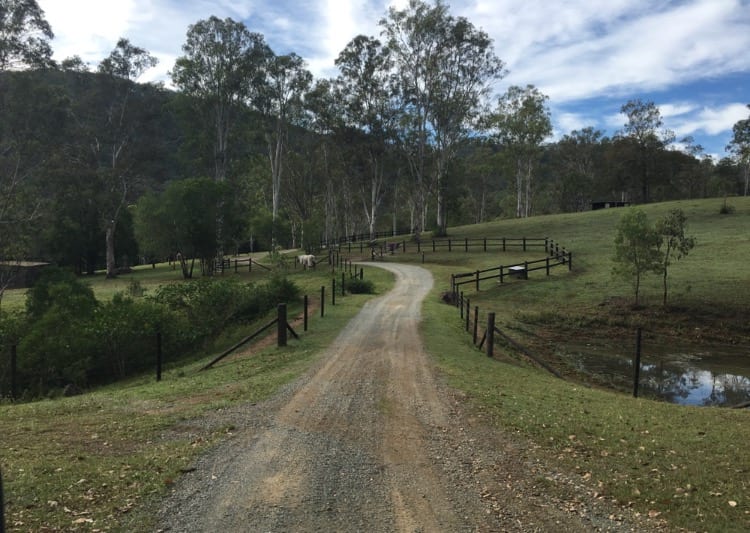 Gold Coast to Byron Bay Cedar Creek