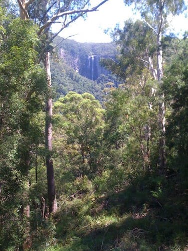 Minyon Falls and The Boggy Creek Walk