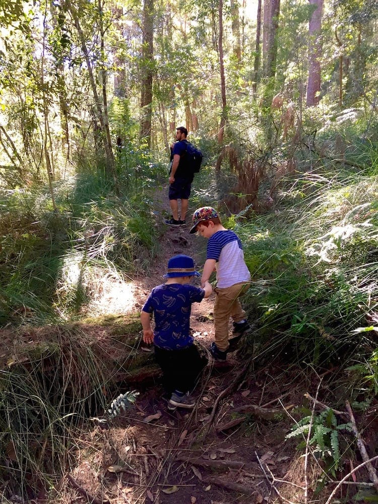 Minyon Falls and The Boggy Creek Walk