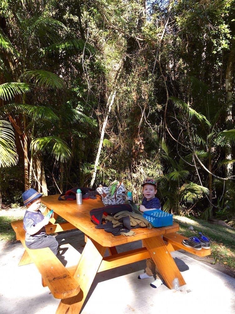 Minyon Falls and The Boggy Creek Walk