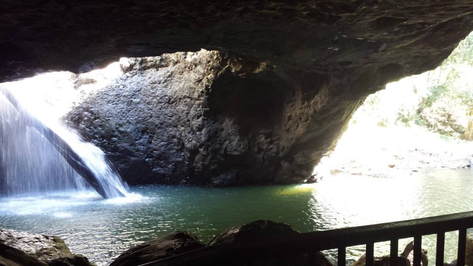 How To Get To Natural Bridge Gold Coast How To Get To Natural Bridge Gold Coast