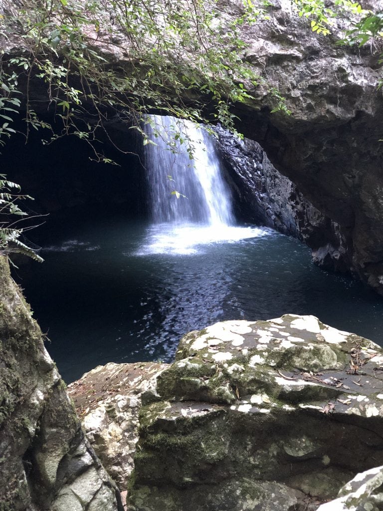 Natural Bridge waterfall cascading through the rock arch into the cave pool in Springbrook National Park, Gold Coast