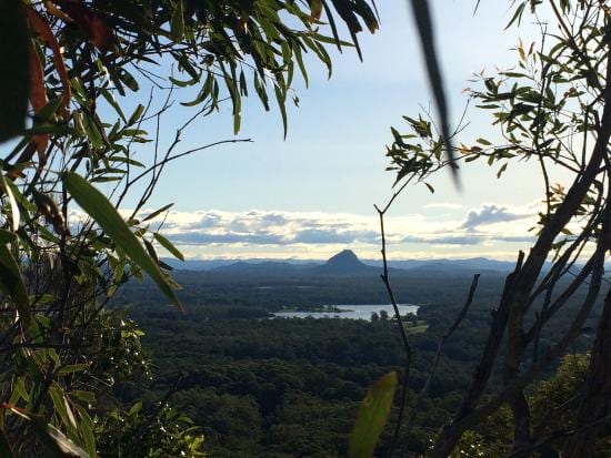 25 Things to do in Noosa with Kids in 2024, Tewantin National Park