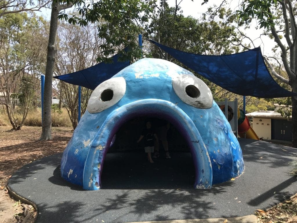 colmslie beach reserve blue fish