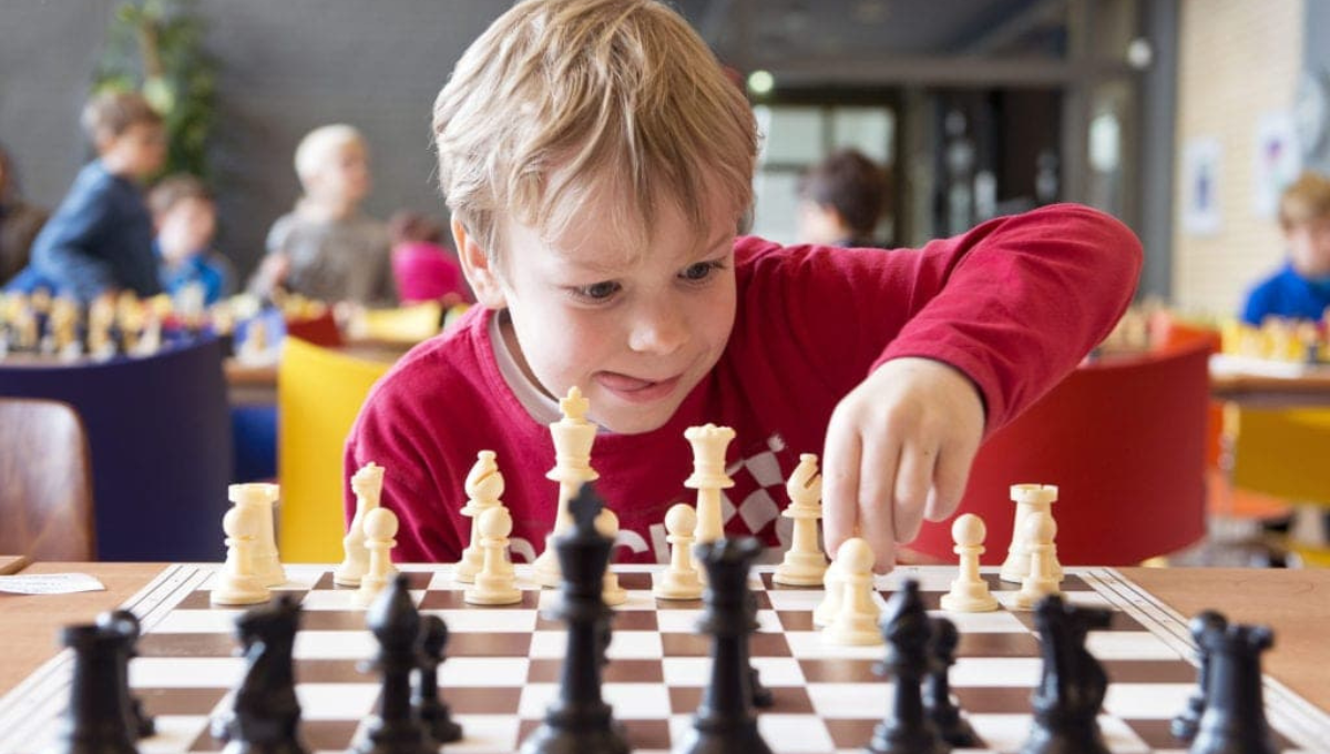 chess clubs brisbane