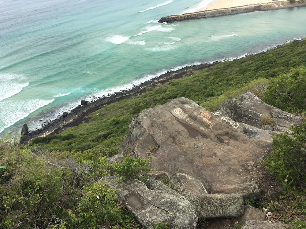 Burleigh Headland National Park Beach and Rainforest Walk for kids