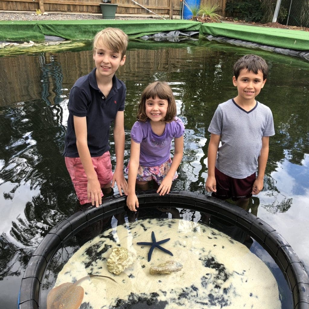 Best things to do with best sale a 3 year old