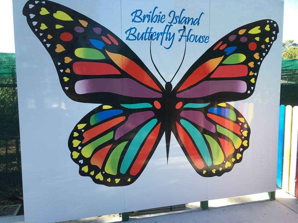bribie island butterfly house
