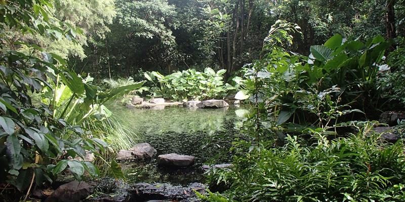 redcliffe botanic gardens