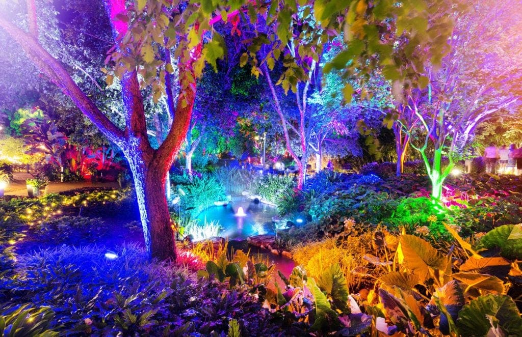 The Enchanted Garden Brisbane | Christmas at Roma Street Parkland