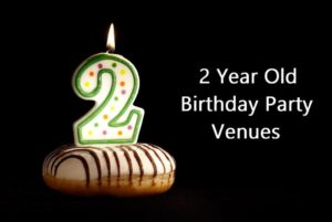 2 Year Old Birthday Party Venues